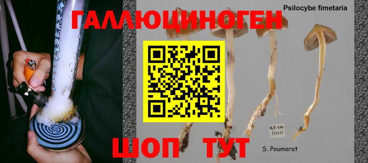 Псилоцибиновые грибы мицелий Королёв